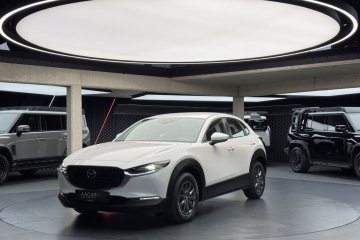 Kanjo / HUD / ACC / Kamera cofania / Podgrzewane fotele / CarPlay