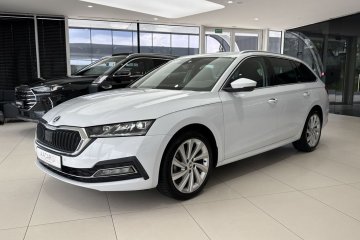 Style / Ambiente / Hak / CarPlay/Android Auto / ACC / Salon Polska