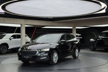 Ambition / Kamera cofania / CarPlay / Android Auto / LED / Tempomat